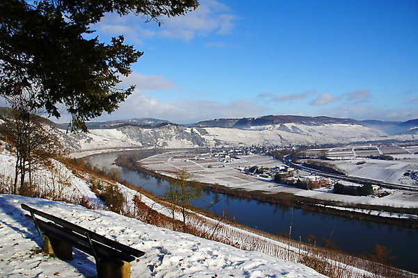 포토 JPG 해외이미지 나무 벤치 독일 사람없음 강 햇빛 추위 눈내림 겨울풍경 해외202004 해외포토 식물 유럽 겨울 의자 눈_날씨 풍경 태양 파일형식 이미지허브