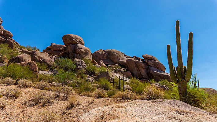 포토 JPG 해외이미지 공원 모래 십자가 자연 하늘 산 선인장 건조 3 풍경 사람없음 야외 계곡 미국 사막 붓 뜨거움 황무지 땅 애리조나 봉황 울퉁불퉁 해외202004 해외포토 식물 공공시설 북아메리카 생태계 파일형식 이미지허브