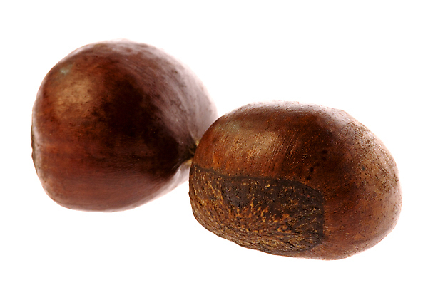 포토 JPG 해외이미지 음식 농업 다이어트 채소 자연 건강 요리 씨앗 사람없음 갈색 견과류 신선 닫기 맛 굽기 먹기 묘사 호두 내추럴 고립 식용 해외202004 해외포토 식물 산업 컬러 컨셉 모션 구이 생태계 파일형식 이미지허브