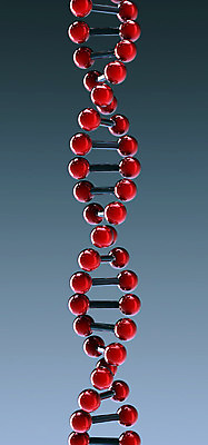 포토 JPG 해외이미지 과학 백그라운드 건강 사람없음 빨간색 약 3D DNA 더블 복제 유전 해외202004 해외포토 컬러 의학 생명공학 디지털합성 파일형식 이미지허브