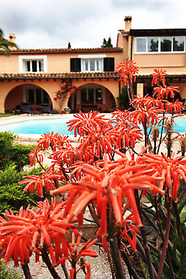 포토 JPG 해외이미지 식물 외관 꽃 꽃무늬 건축양식 휴가 주택 사람없음 야외 장식 초록색 물 여름 컬러풀 햇빛 노란색 정원 맑음 보라색 봄 개화 고급 당구 빌라 아치 휴양지 화단 해외202004 해외포토 자연요소 계절 건축 컬러 컨셉 무늬 날씨 건물 태양 구기 장소 파일형식 이미지허브