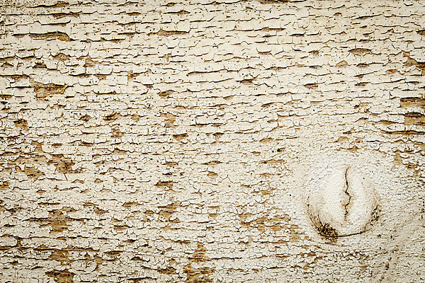 포토 JPG 해외이미지 벽 백그라운드 날씨 외벽 사람없음 목재 페인트 흰색 시골 거친 균열 낟알 고민 질감 매듭 외양간 그런지 해외202004 해외포토 나무 감정 컬러 재료 모션 파일형식 이미지허브