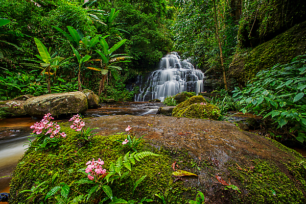 포토 JPG 해외이미지 나무 식물 공원 백그라운드 잎 모션 태국 자연 휴가 휴식 풍경 사람없음 목재 초록색 물 강 수영 봄 활발 폭포 젖음 흐름 성장 가을 신선 개울 숲 순수 천국 이국적 전국 파라다이스 해외202004 해외포토 자연요소 계절 공공시설 아시아 컬러 컨셉 재료 수상스포츠 생태계 파일형식 이미지허브