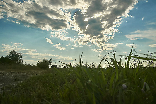 포토 JPG 해외이미지 구름 밭 자연 하늘 사람없음 농가 수확 시골 해외202004 해외포토 자연요소 농업 농장 생태계 파일형식 이미지허브