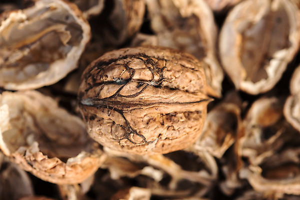 포토 JPG 해외이미지 계절 음식 백그라운드 다이어트 과일 재료 자연 건조 건강 사람없음 갈색 견과류 껍질 가을 흰색 신선 오픈 그룹 맛 아침식사 작음 오브젝트 유기농 알맹이 날것 호두 흙더미 내추럴 고립 깨짐 해외202004 해외포토 웰빙 컬러 컨셉 식사 흙 크기 생태계 파일형식 더미 이미지허브