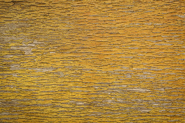 포토 JPG 해외이미지 백그라운드 패턴 사람없음 목재 갈색 노란색 거친 질감 그런지 니스 옛날 합판 해외202004 해외포토 나무 컬러 무늬 재료 파일형식 이미지허브