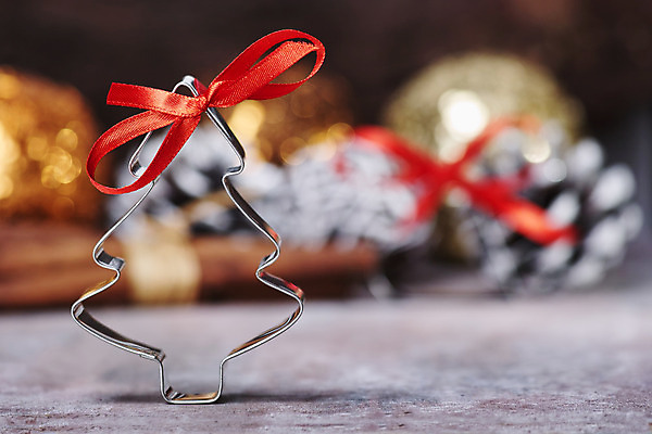 포토 JPG 해외이미지 나무 리본 크리스마스장식 크리스마스 사람없음 장식 빛 해외202004 해외포토 식물 기념일 파일형식 이미지허브