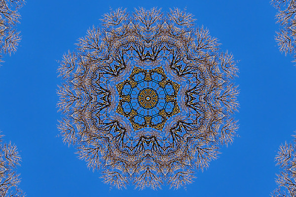 포토 JPG 해외이미지 디자인 꽃잎 꽃 별 백그라운드 겨울 꽃무늬 패턴 자연 추상 사람없음 물 태양 노란색 원형 눈송이 복고 대칭 만다라 만화경 해외202004 해외포토 자연요소 도형 식물 계절 컬러 무늬 눈_날씨 장난감 생태계 파일형식 이미지허브