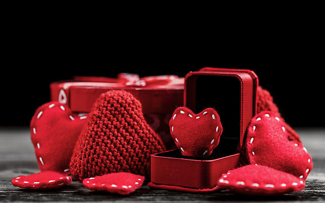 포토 JPG 해외이미지 검은배경 발렌타인데이 사람없음 빨간색 장미 오브젝트 해외포토 꽃 컬러 백그라운드 데이이벤트 검은색 파일형식 이미지허브