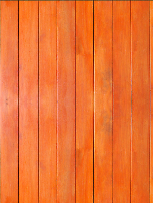 포토 JPG 해외이미지 식물 디자인 벽 가구 백그라운드 자연 벽지 날씨 추상 바닥 주택 외벽 사람없음 목재 세로 울타리 갈색 줄무늬 골동품 판넬 거친 널 낟알 목수 질감 목공예 잡동사니 내추럴 그런지 사생활 수목 옛날 줄서기 해외202004 해외포토 나무 직업 컬러 생활용품 무늬 재료 모션 건물 담장 공예 생태계 파일형식 이미지허브