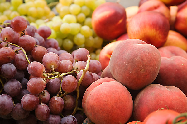 포토 JPG 해외이미지 식물 계절 음식 백그라운드 잎 농업 다이어트 토마토 오렌지 과일 재료 자연 포도 디저트 건강 사람없음 초록색 보라색 수확 성장 신선 원형 그룹 시장 달콤 맛 다발 먹기 오브젝트 유기농 날것 복숭아 포도나무 밭일 숙성 채식주의자 해외202004 해외포토 도형 웰빙 산업 컬러 컨셉 채소 모션 과일나무 생태계 채식 파일형식 이미지허브