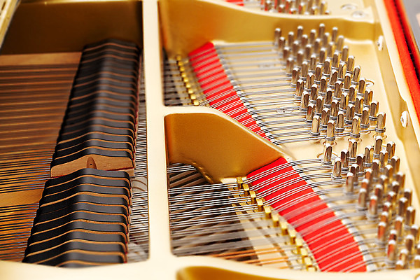 포토 JPG 해외이미지 디자인 줄 음악 패턴 열쇠 실내 사람없음 목재 가로 노란색 금속 쪽지 소리 콘서트 장비 기구 피아노 황금 닫기 망치 묘사 오브젝트 오디오 뮤지컬 조율 해외202004 해외포토 나무 컬러 무늬 재료 모션 재질 문화예술 내부 전자제품 공연 공구 건반악기 파일형식 이미지허브