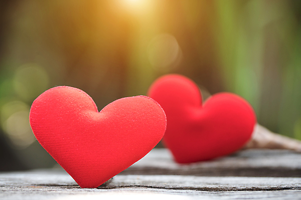 포토 JPG 해외이미지 모양 디자인 행복 결혼 백그라운드 컨셉 가족 추상 휴가 발렌타인데이 건강 사랑 사람없음 목재 장식 빨간색 흰색 하트 마음 시골 축하 신용카드 달콤 심볼 질감 복고 옛날 해외202004 해외포토 나무 감정 컬러 무늬 재료 관계 데이이벤트 이벤트 금융 맛 파일형식 이미지허브