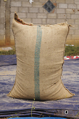 포토 JPG 해외이미지 식물 아시아 문화 음식 백그라운드 농업 재료 태국 자연 밥 건조 건강 씨앗 동양인 사람없음 농작물 햇빛 농장 갈색 노란색 중국 수확 시골 황금 농부 낟알 시리얼 유기농 질감 동쪽 내추럴 논밭 땅바닥 생태학 숙성 해외202004 해외포토 직업 웰빙 교육 나라 산업 컬러 밭 바닥 논 인종 태양 방향 생태계 파일형식 이미지허브