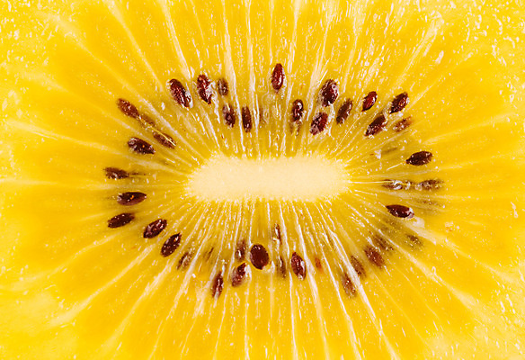 포토 JPG 해외이미지 식물 음식 조각 농업 다이어트 과일 부분 자연 디저트 건강 키위 씨앗 사람없음 초록색 노란색 흰색 신선 황금 달콤 맛 아침식사 먹기 유기농 질감 내추럴 점심식사 고립 숙성 이국적 채식주의자 해외202004 해외포토 웰빙 산업 컬러 컨셉 모션 식사 생태계 채식 파일형식 이미지허브