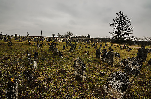 포토 JPG 해외이미지 꽃 기독교 종교 지구 백그라운드 십자가 부활절 사람없음 목재 조각상 검은색 성경 바위 기도 죽음 예수 영혼 목사 심볼 애도 신성 땅파기 신앙심 옛날 장례식 오싹 해외202004 해외포토 나무 식물 기념일 컬러 재료 종교용품 조형물 신_종교 성직자 파일형식 이미지허브