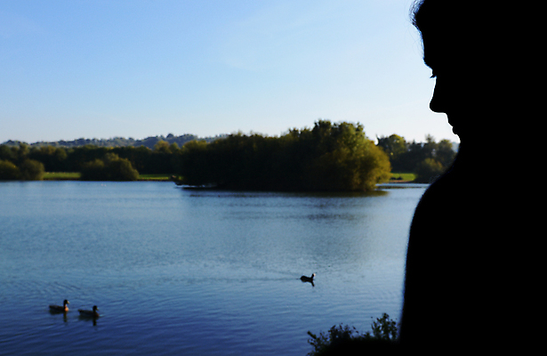 포토 JPG 해외이미지 나무 실루엣 호수 자연 하늘 오리 사람없음 야외 옆모습 파란색 침묵 연못 저녁 물새 배려 삼림지대 우울감 혼자 해외202004 해외포토 식물 감정 뷰포인트 컬러 조류 촬영기법 소리 야간 숲 생태계 파일형식 이미지허브