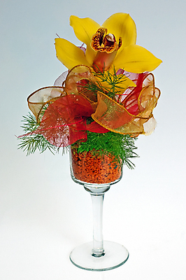 포토 JPG 해외이미지 식물 꽃 화분 분홍색 사람없음 개화 난초 해외202004 해외포토 컬러 파일형식 이미지허브