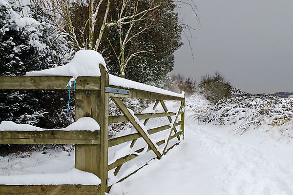 포토 JPG 해외이미지 겨울 날씨 영국 잉글랜드 사람없음 냉동 추위 대문 해외202004 해외포토 계절 유럽 문 파일형식 이미지허브