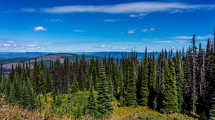 포토 JPG 해외이미지 나무 구름 계절 백그라운드 자연 하늘 산 파노라마 풍경 사람없음 야외 초록색 여름 파란색 태양 계곡 하이킹 소나무 정상 숲 삼나무 수평선 해외202004 해외포토 자연요소 식물 컬러 레저 촬영기법 생태계 파일형식 이미지허브