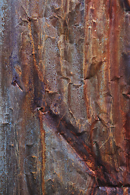 포토 JPG 해외이미지 템플릿 접시 외관 산업 선 벽 백그라운드 패턴 건축양식 공장 날씨 추상 경비 사람없음 울타리 문 금속 줄무늬 회색 수확 경계선 판넬 닫기 보호 은색 땅 철 버리기 입장 부식 질감 무거움 시트 발판 그런지 옛날 철강 아연 해외202004 해외포토 식기 건축 컬러 컨셉 무늬 농업 공업 모션 재질 안전 담장 무게 경계 영양소 파일형식 이미지허브