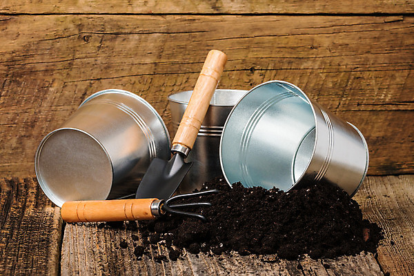 포토 JPG 해외이미지 화분 지구 날씨 사람없음 목재 갈색 금속 흙 도구 시골 은색 냄비 컨테이너 삽 원예 먼지 통조림 해외202004 해외포토 나무 산업 컬러 재료 재질 취미 솥 파일형식 이미지허브