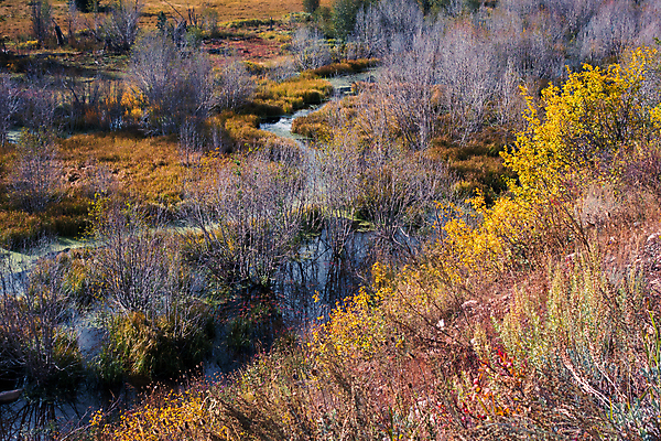 포토 JPG 해외이미지 나무 구름 계절 여행 오렌지 자연 풍경 사람없음 야외 빨간색 초록색 노란색 맑음 미국 회색 가을 흰색 숲 내추럴 삼림지대 와이오밍 해외202004 해외포토 자연요소 식물 컬러 북아메리카 과일 날씨 생태계 파일형식 이미지허브