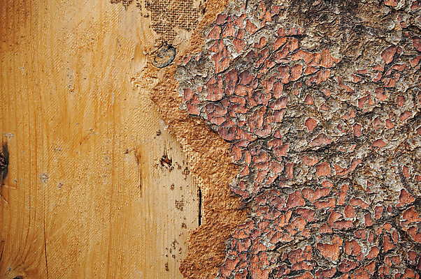 포토 JPG 해외이미지 나무 디자인 벽 백그라운드 패턴 자연 벽지 탁자 표면 추상 바닥 사람없음 목재 빛 갈색 수확 시골 소나무 판넬 거친 널 낟알 책상 질감 잡동사니 내추럴 수목 옛날 해외202004 해외포토 식물 컬러 가구 무늬 농업 재료 생태계 파일형식 이미지허브