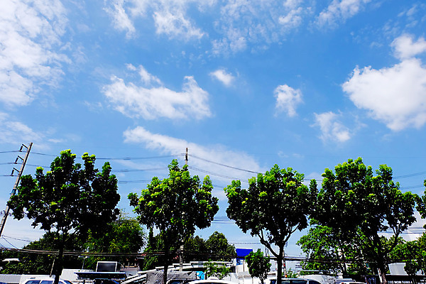 포토 JPG 해외이미지 나무 구름 계절 공원 지구 백그라운드 자연 하늘 풍경 사람없음 야외 초록색 여름 파란색 햇빛 농장 환경 맑음 봄 신선 도시 내추럴 해외202004 해외포토 자연요소 식물 공공시설 컬러 농업 날씨 태양 생태계 파일형식 이미지허브