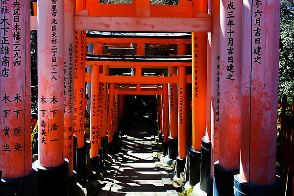 포토 JPG 해외이미지 나무 식물 손 여자 실루엣 이어폰 백그라운드 잎 겨울 인터넷 일러스트 통신 학교 자연 잉크 주택 한국 미술 사람 동양인 풍경 사람없음 목재 책 컴퓨터 우주 일본 검은색 헤드폰 중국 가을 흰색 나뭇가지 소나무 네트워크 숲 만화 온라인 가정교사 엘리먼트 온라인강의 해외202004 해외포토 계절 교육 아시아 컬러 음향기기 재료 문화예술 촬영기법 인종 건물 신체부위 전자제품 교사 강의 생태계 파일형식 언택트 이미지허브