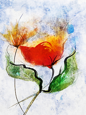 JPG 해외이미지 꽃 일러스트 미술 사람없음 빨간색 그림 손그림 양귀비 해외202004 해외일러스트 식물 컬러 문화예술 파일형식 이미지허브