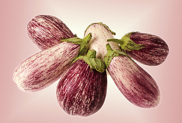 포토 JPG 해외이미지 식물 음식 다이어트 채소 재료 가지 건강 요리 사람없음 초록색 컬러풀 보라색 신선 그룹 제비꽃 유기농 날것 내추럴 고립 채식주의자 해외202004 해외포토 웰빙 꽃 컬러 채식 파일형식 이미지허브