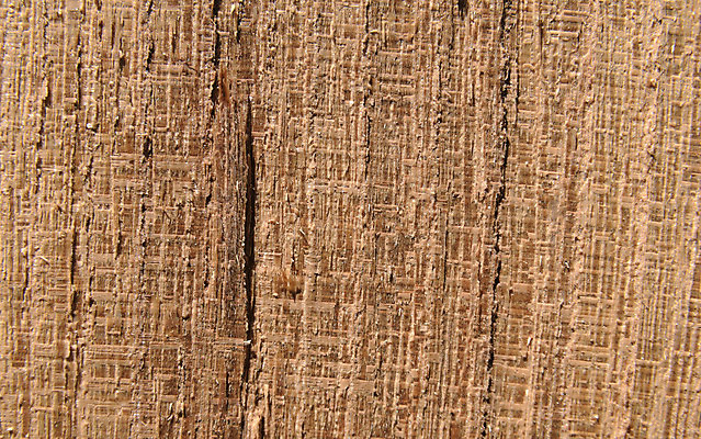 포토 JPG 해외이미지 나무 디자인 선 벽 백그라운드 유니폼 패턴 벽지 탁자 표면 추상 바닥 사람없음 목재 울타리 햇빛 노란색 판넬 거친 널 묘사 질감 잡동사니 내추럴 수목 파케트 해외202004 해외포토 식물 옷 컬러 가구 무늬 재료 담장 태양 파일형식 이미지허브