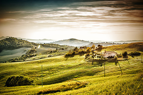 포토 JPG 해외이미지 나무 밭 농업 자연 아침 주택 풍경 사람없음 초록색 햇빛 농가 농장 평화 와인 정원 일몰 놀람 봄 이탈리아 시골 볏짚 지중해 언덕 그림 올리브 포도밭 포도나무 토스카나 해외202004 해외포토 주간 식물 계절 열매 감정 유럽 산업 바다 컬러 컨셉 주류 표정 건물 태양 노을 짚 과일나무 생태계 파일형식 이미지허브