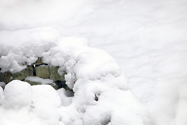 포토 JPG 해외이미지 나무 계절 백그라운드 크리스마스 자연 하늘 휴가 풍경 사람없음 물 파란색 회색 추위 안개 흰색 서리 해외202004 해외포토 자연요소 식물 기념일 컬러 날씨 생태계 파일형식 이미지허브