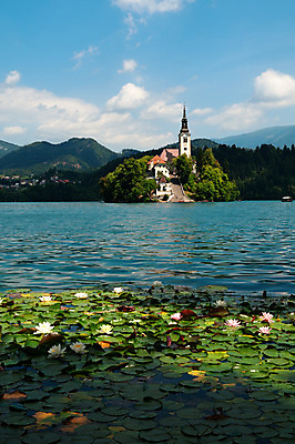 포토 JPG 해외이미지 유럽 전통문화 호수 섬 여행 자연 하늘 휴가 산 그림자 풍경 사람없음 야외 세로 초록색 물 여름 관광지 마을 농촌 숲 명승지 슬로베니아 절정 카피스페이스 산맥 해외202004 해외포토 자연요소 전통 계절 나라 문화 컬러 공백 시골 생태계 파일형식 이미지허브