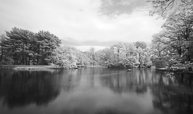 포토 JPG 해외이미지 나무 외관 공원 호수 바다 자연 새로움 흑백 그림자 풍경 사람없음 야외 물 강 평화 검은색 침묵 흰색 연못 소나무 조경 베로나 세피아 저지 적외선 몽환 해외202004 해외포토 자연요소 식물 공공시설 컬러 컨셉 촬영기법 소리 생태계 파일형식 이미지허브