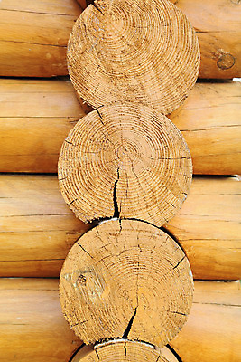 포토 JPG 해외이미지 나무 벽 건축양식 주택 사람없음 목재 마을 시골 소나무 원형 오두막 시골집 통나무 수목 해외202004 해외포토 도형 식물 건축 재료 건물 파일형식 이미지허브