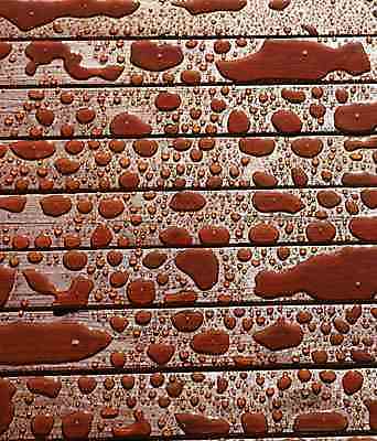 포토 JPG 해외이미지 백그라운드 사람없음 물 반짝임 햇빛 검은색 물방울 액체 떨어짐 분무기 해외202004 해외포토 자연요소 컬러 컨셉 모션 태양 파일형식 이미지허브