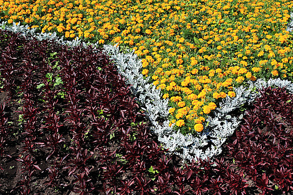 포토 JPG 해외이미지 외관 공원 꽃 문화 여행 꽃무늬 휴가 새로움 거리 잔디 사람없음 장식 초록색 여름 빛 도시풍경 햇빛 태양 노란색 탑 정원 봄 튤립 바위 흰색 침대 도시 개화 교차로 언덕 유기농 원예 데이지 타운 스카이라인 심기 옛날 정중 해외202004 해외포토 자연요소 식물 건축물 웰빙 계절 공공시설 길 컬러 가구 컨셉 무늬 모션 풍경 취미 돌_바위 파일형식 이미지허브