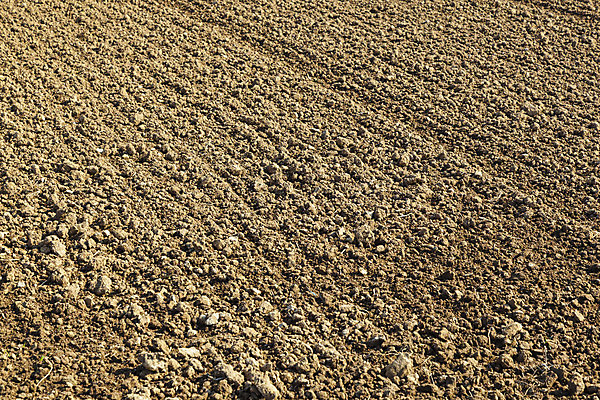 포토 JPG 해외이미지 밭 농업 사람없음 농경지 검은색 흙 수확 제조 만취 등급 밭일 수입 쟁기 해외202004 해외포토 산업 컬러 농장 술취함 파일형식 이미지허브