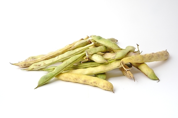 포토 JPG 해외이미지 전통 유럽 음식 채소 콩 사람없음 프랑스 상품 꼬투리 해외202004 해외포토 나라 곡류 파일형식 이미지허브