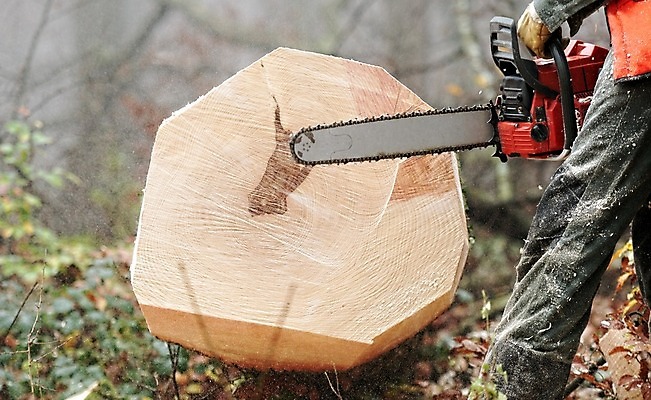 포토 JPG 해외이미지 나무 노동자 사람없음 목재 기계 공구 업무 작업 숲 자르기 통나무 잡동사니 벌목 수목 전기톱 커터 톱질 해외202004 해외포토 식물 직업 재료 모션 도구 톱 파일형식 이미지허브