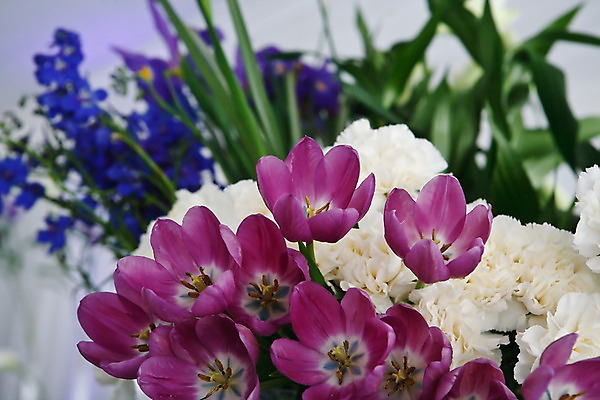 포토 JPG 해외이미지 꽃 꽃다발 결혼 자연 탁자 사람없음 초록색 파란색 파티 꽃병 보라색 흰색 축하 설정 해외202004 해외포토 식물 컬러 가구 컨셉 이벤트 생태계 파일형식 이미지허브