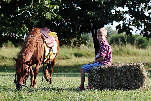 포토 JPG 해외이미지 동물 행복 어린이 밭 포유류 자연 한명 미소 소년 야외 초록색 여름 반려동물 농장 가축 목장 흰색 시골 조랑말 찰과상 해외202004 해외포토 1 계절 남자 감정 컬러 농업 표정 사람 말_동물 상처 생태계 파일형식 이미지허브