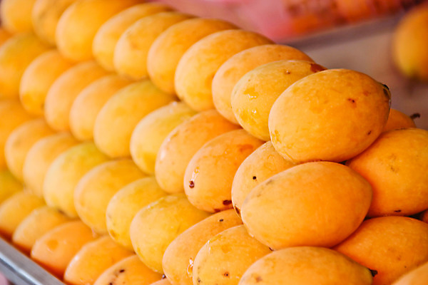 포토 JPG 해외이미지 잡화 아시아 음식 여행 태국 건강 요리 동양인 사람없음 초록색 컬러풀 노란색 세일 상점 흰색 신선 시장 닫기 달콤 맛 다발 먹기 유기농 복숭아 자두 고립 매각 살구 영양소 이국적 해외202004 해외포토 웰빙 나라 컬러 컨셉 과일 모션 인종 파일형식 이미지허브