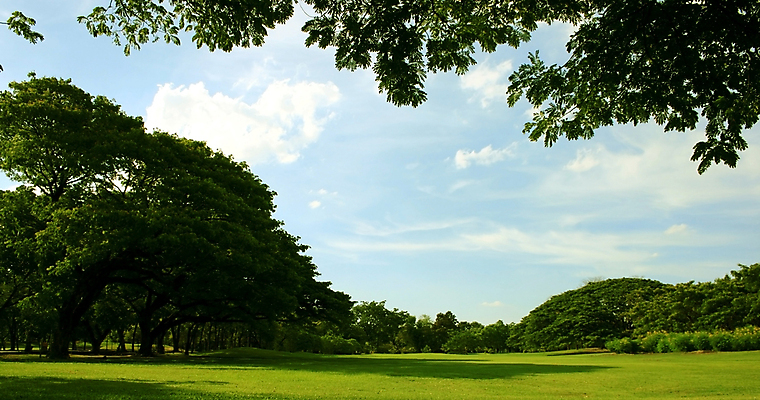 포토 JPG 해외이미지 나무 식물 구름 공원 꽃 길 백그라운드 잎 꽃무늬 자연 하늘 풍경 잔디 사람없음 야외 장식 초록색 여름 정원 벚꽃 개화 큼 원예 해외202004 해외포토 자연요소 계절 공공시설 컬러 무늬 취미 크기 생태계 파일형식 이미지허브