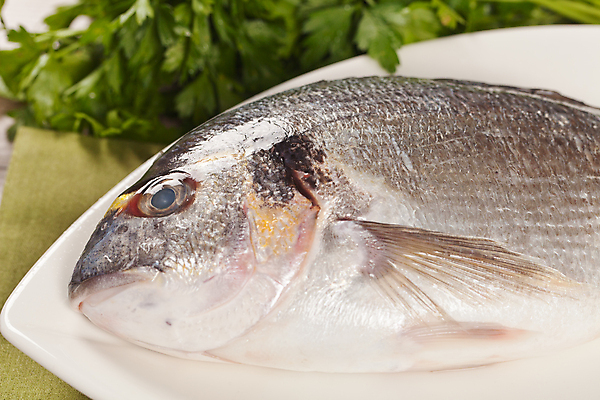 포토 JPG 해외이미지 접시 파슬리 근접촬영 사람없음 날것 도미 해외202004 해외포토 식기 뷰포인트 채소 어류 파일형식 이미지허브