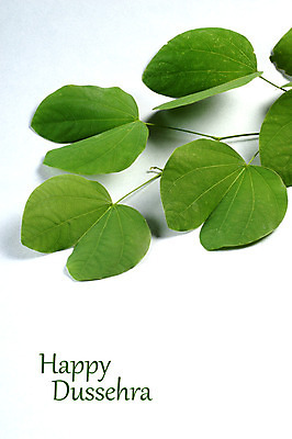 포토 JPG 해외이미지 나무 전통 행복 종교 문화 잎 휴가 사람없음 초록색 약 축제 축하 죽음 인사 신용카드 황금 인도인 예배 신성 램 필승 힌두교 해외202004 해외포토 외국인 식물 감정 컬러 컨셉 의학 동양인 금융 예절 우승 파일형식 이미지허브