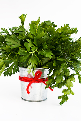 포토 JPG 해외이미지 음식 백그라운드 사람없음 빨간색 초록색 흰색 나뭇가지 맛 작음 철 허브 양동이 향신료 활 딜 강조 해외202004 해외포토 나무 식물 컬러 컨셉 크기 향미료 파일형식 이미지허브